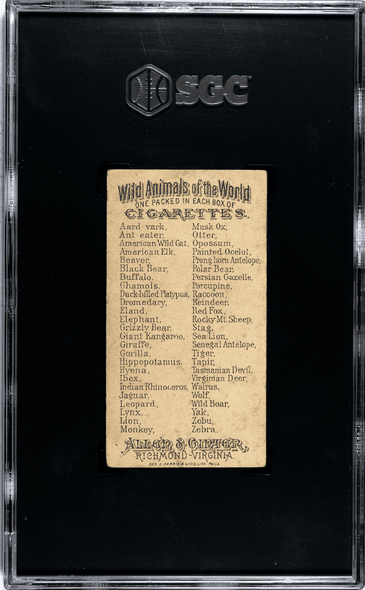 1888 N25 Allen & Ginter Opossum Wild Animals of the World SGC 3 back of card