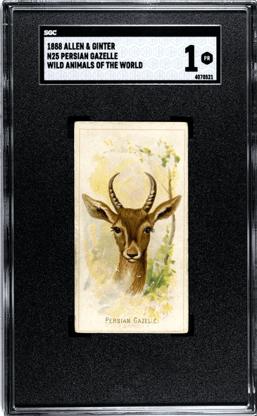 1888 N25 Allen & Ginter Persian Gazelle Wild Animals of the World SGC 1 front of card