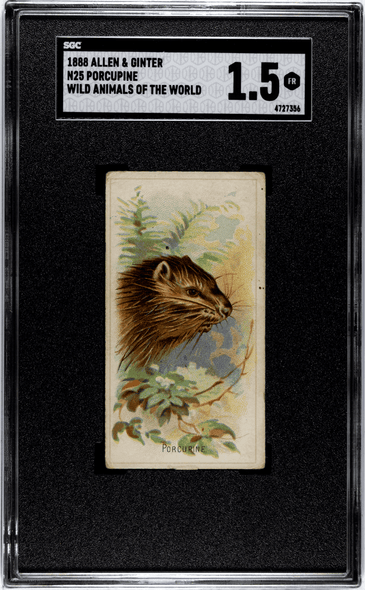 1888 N25 Allen & Ginter Porcupine Wild Animals of the World SGC 1.5 front of card