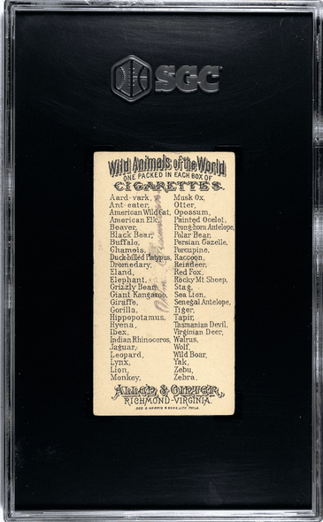 1888 N25 Allen & Ginter Red Fox Wild Animals of the World SGC 1.5 back of card