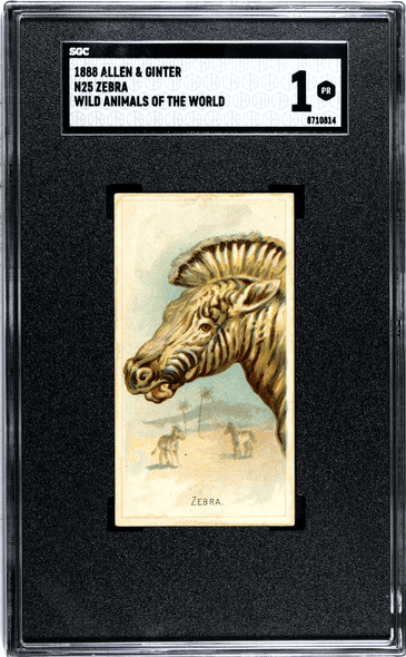 1888 N25 Allen & Ginter Zebra Wild Animals of the World SGC 1 front of card