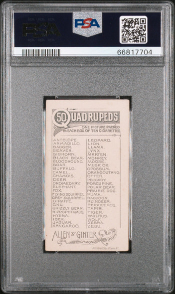 1890 N21 Allen & Ginter Walrus 50 Quadrupeds PSA 4 back of card