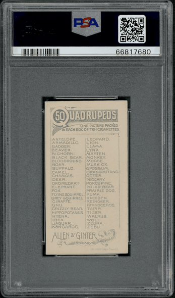 1890 N21 Allen & Ginter Orangoutang 50 Quadrupeds PSA 3 back of card