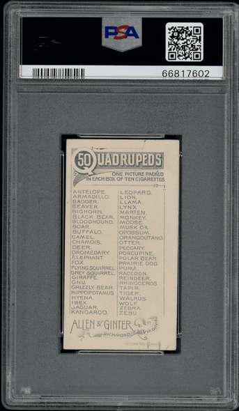 1890 N21 Allen & Ginter Antelope 50 Quadrupeds PSA 4 back of card