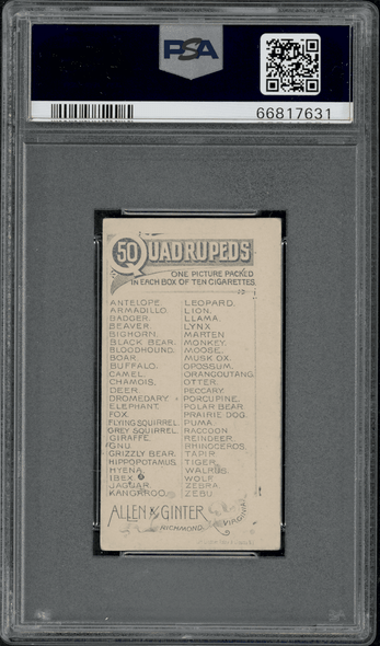 1890 N21 Allen & Ginter Dromedary 50 Quadrupeds PSA 3 back of card
