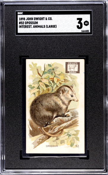 1898 John Dwight & Co. Opossum #52 Interesting Animals (Large) SGC 3 front of card
