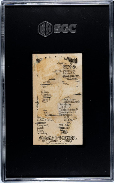 1888 N25 Allen & Ginter Black Bear Wild Animals of the World SGC 1 back of card