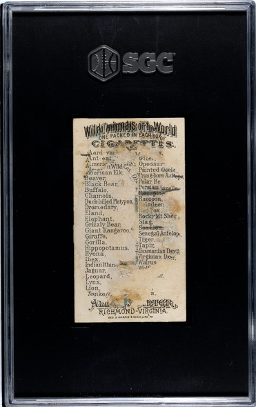 1888 N25 Allen & Ginter Polar Bear Wild Animals of the World SGC 1 back of card