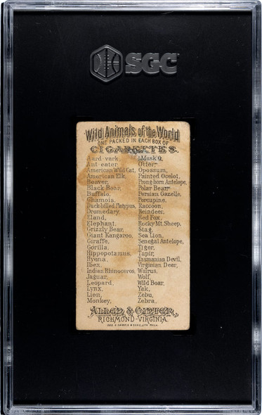 1888 N25 Allen & Ginter Walrus Wild Animals of the World SGC 1.5 back of card