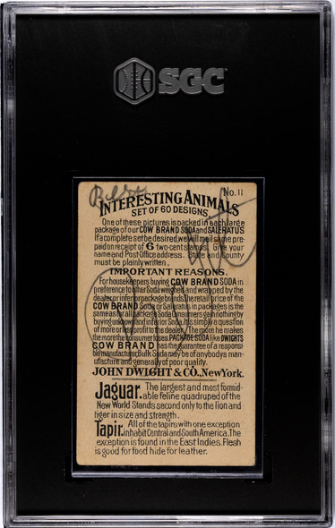 1898 John Dwight & Co. Jaguar and Tapir #11 Interesting Animals, Large SGC 1 back of card