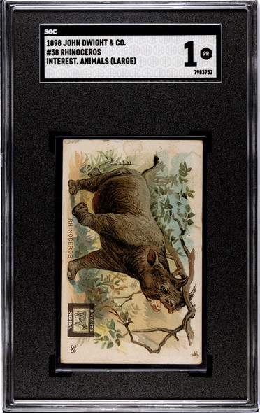 1898 John Dwight & Co. Rhinoceros #38 Interesting Animals, Large SGC 1 front of card