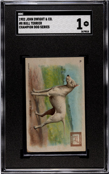 1902 John Dwight & Co. Bull Terrier #8 Champion Dog Series SGC 1 front of card