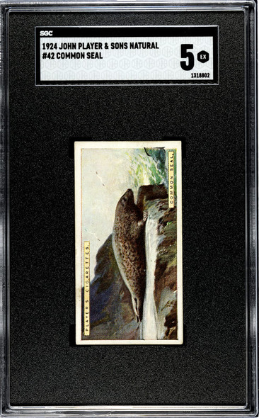 1924 John Player & Sons Common Seal #42 Natural History SGC 5 front of card