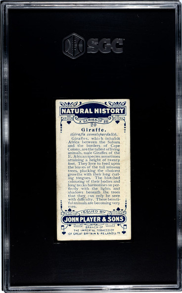1924 John Player & Sons Giraffe #20 Natural History SGC 3 back of card
