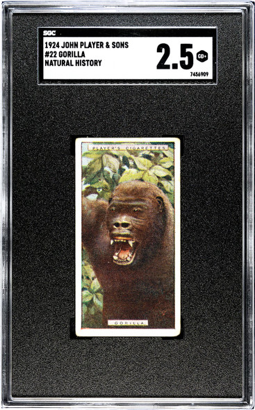 1924 John Player & Sons Gorilla #22 Natural History SGC 2.5 front of card