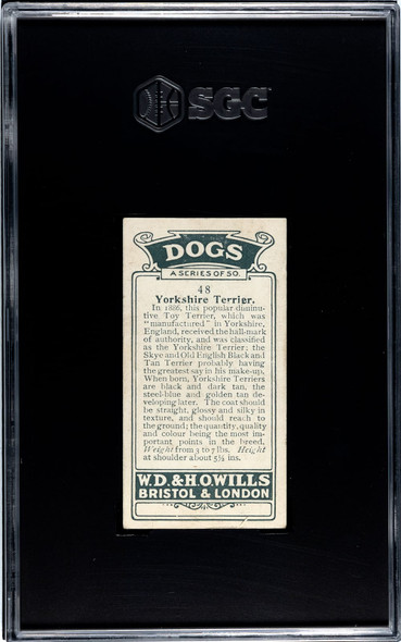 1920 W.D. & H.O. Wills Yorkshire Terrier #48 Dogs SGC 4 back of card