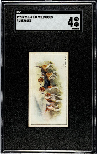 1920 W.D. & H.O. Wills Beagles #1 Dogs SGC 4 front of card