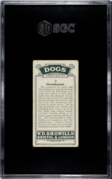 1920 W.D. & H.O. Wills Bloodhound #2 Dogs SGC 3 back of card