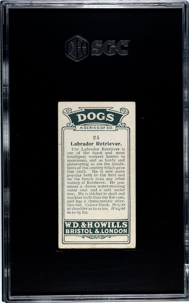 1920 W.D. & H.O. Wills Labrador Retriever #25 Dogs SGC 3 back of card