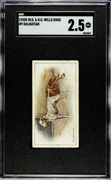 1920 W.D. & H.O. Wills Dalmatian #9 Dogs SGC 2.5 front of card