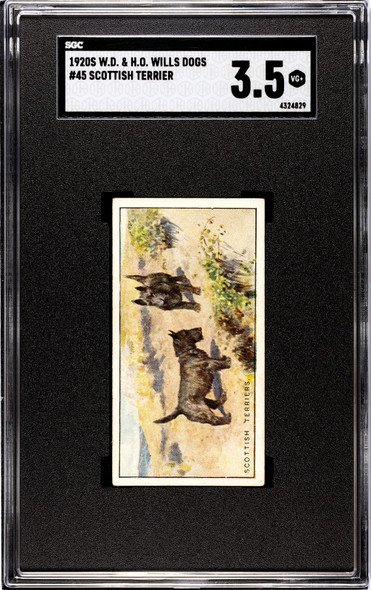 1920 W.D. & H.O. Wills Scottish Terrier #45 Dogs SGC 3.5 front of card