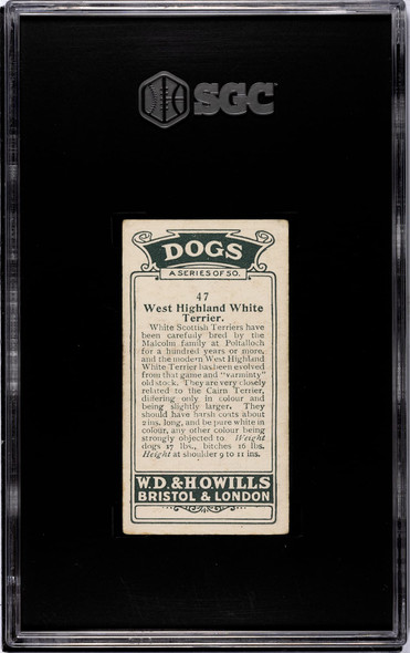 1920 W.D. & H.O. Wills West Highland White Terrier #47 Dogs SGC 3 back of card