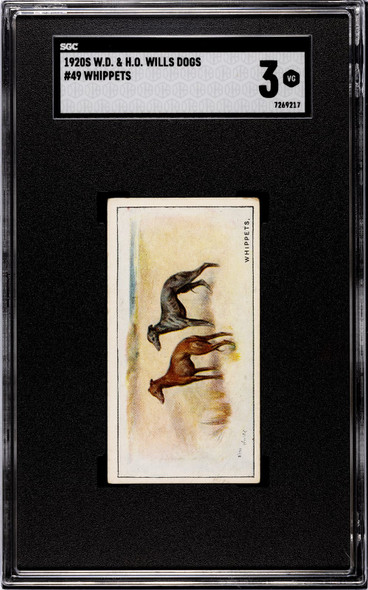 1920 W.D. & H.O. Wills Whippets #49 Dogs SGC 3 front of card