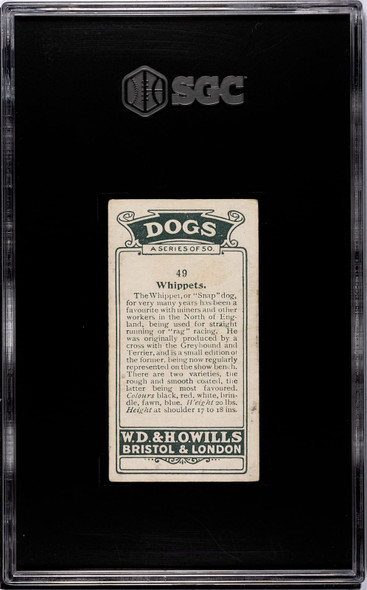 1920 W.D. & H.O. Wills Whippets #49 Dogs SGC 3 back of card