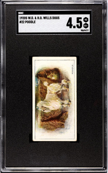 1920 W.D. & H.O. Wills Poodle #22 Dogs SGC 4.5 front of card