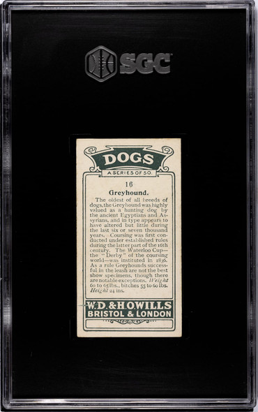 1920 W.D. & H.O. Wills Greyhound #16 Dogs SGC 5.5 back of card