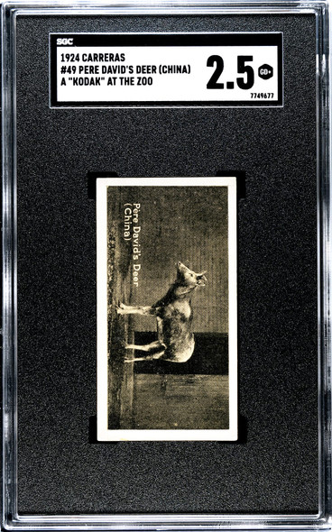 1924 Carreras Ltd. Pere Davids Deer #49 A Kodak at the Zoo SGC 2.5 front of card