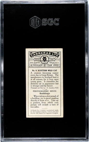 1924 Carreras Ltd. Scotch Wild Cat #8 A Kodak at the Zoo SGC 4 back of card