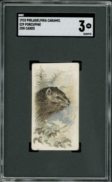 1910 E29 Philadelphia Caramel Porcupine Zoo Cards SGC 3 front of card