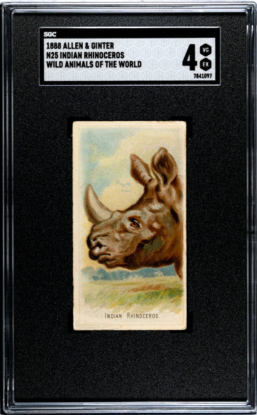 1888 N25 Allen & Ginter Indian Rhinoceros Wild Animals of the World SGC 4 front of card