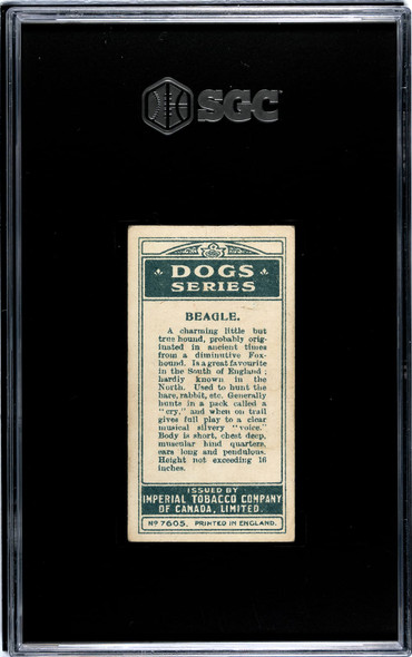 1920 W.D. & H.O. Wills Beagle #11 Dogs SGC 3.5 back of card