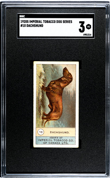 1920 W.D. & H.O. Wills Dachshund #10 Dogs SGC 3 front of card