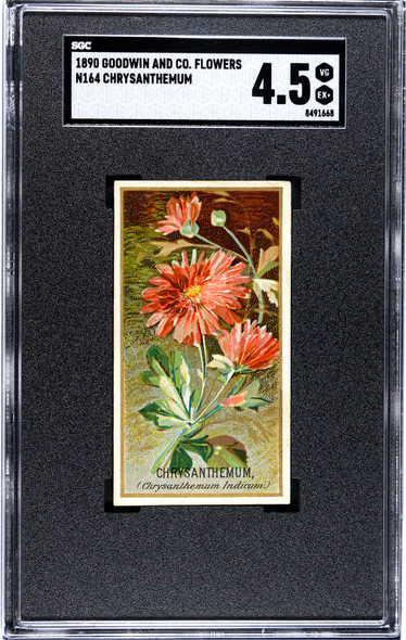 1890 N164 Goodwin & Co. Chrysanthemum Flowers SGC 4.5 front of card