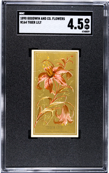 1890 N164 Goodwin & Co. Tiger Lily Flowers SGC 4.5 front of card