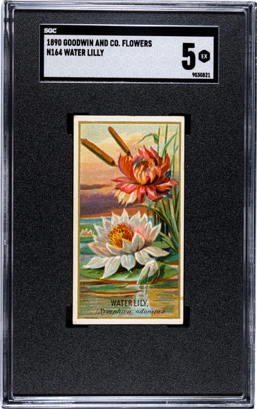 1890 N164 Goodwin & Co. Water Lily Flowers SGC 5 front; SGC label says Water Lilly