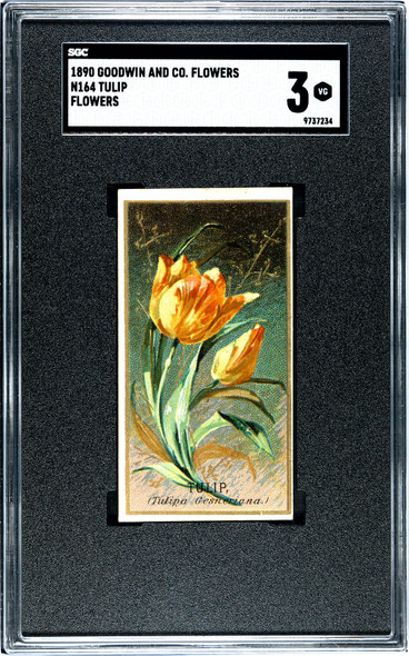 Vintage - Vintage Non-Sport Cards - Page 18 - T206 Cards