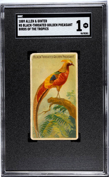 1889 Allen & Ginter Products - T206 Cards