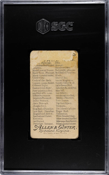 SGC 3 1889 N5 Allen & Ginter Lyre Bird