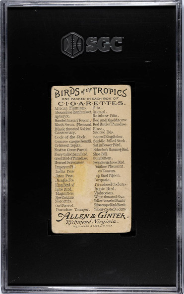 1889 Allen & Ginter N5 New Zealand Parrot Birds of the Tropics SGC 1 back of card