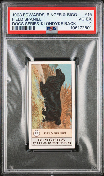 1908 Edwards, Ringer & Bigg Field Spaniel #15 Dog Series Factory No. Klondyke Back PSA 4 front of card