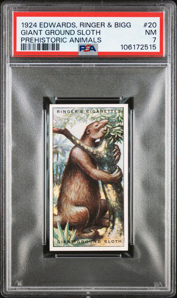 1924 Edwards, Ringer & Bigg Giant Ground Sloth #20 Prehistoric Animals PSA 7 front of card