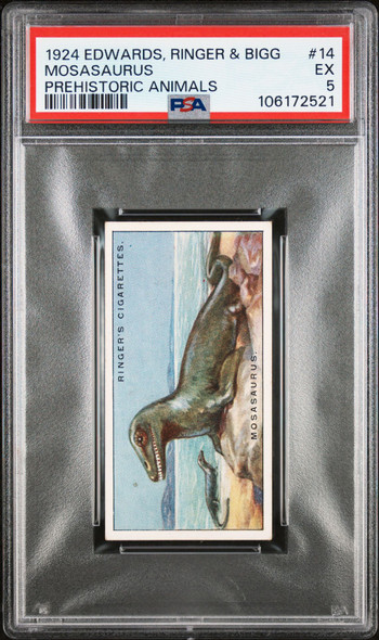 1924 Edwards, Ringer & Bigg Mosasaurus #14 Prehistoric Animals PSA 5 front of card