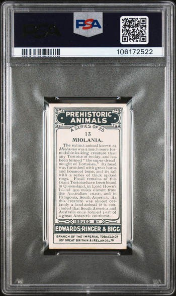 1924 Edwards, Ringer & Bigg Miolania #13 Prehistoric Animals PSA 5 back of card