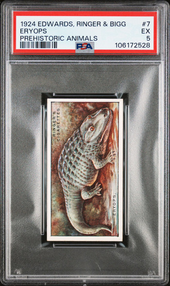 1924 Edwards, Ringer & Bigg Eryops #7 Prehistoric Animals PSA 5 front of card