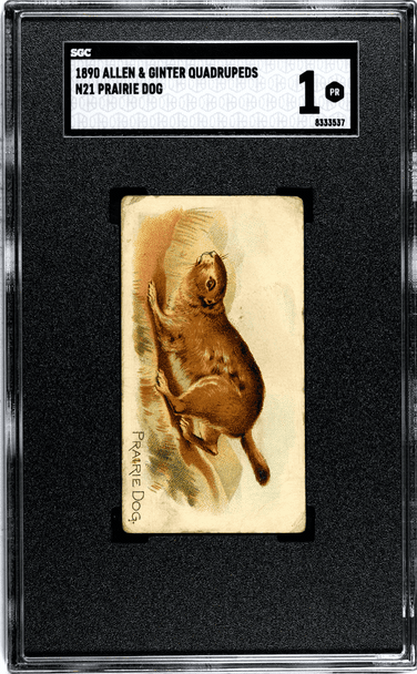 1890 Allen & Ginter Prairie Dog N21 Quadrupeds SGC 1 — certification 8333537, front of card