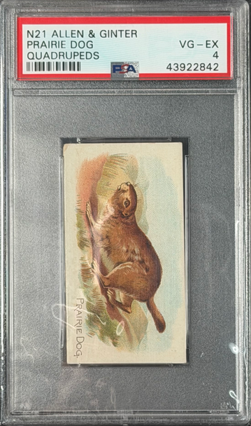 1890 Allen & Ginter Prairie Dog N21 Quadrupeds PSA 4